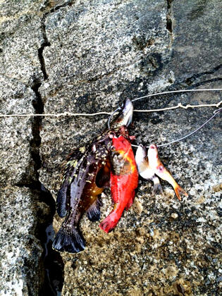 Aktaş Beach Camping - Görsel 14