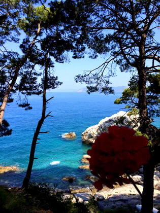 Aktaş Beach Camping - Görsel 25