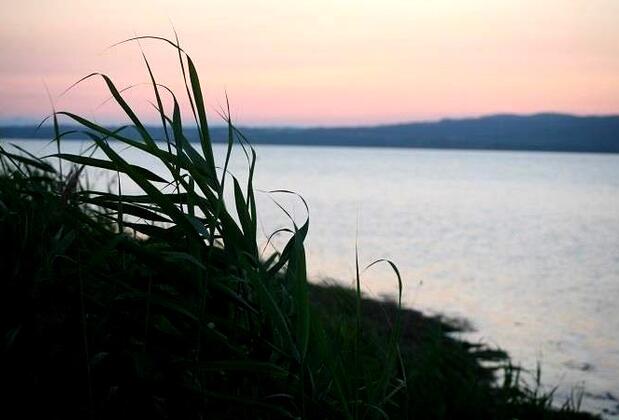 Villa Jasmin - Görsel 4