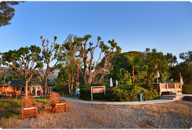 Arcadia Hotel - Görsel 11