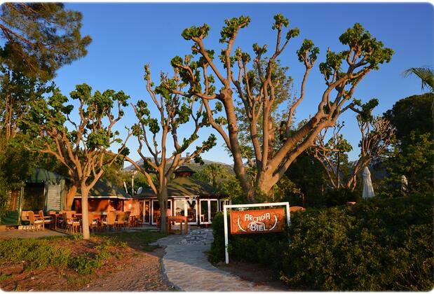 Arcadia Hotel - Görsel 4