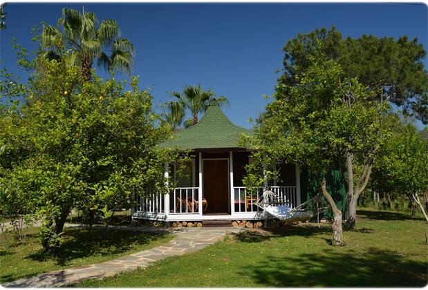 Arcadia Hotel - Görsel 7