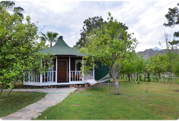 Arcadia Hotel - Görsel 8