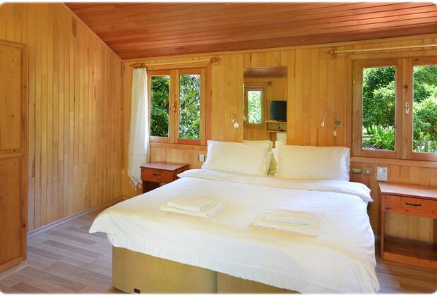 Arcadia Hotel - Görsel 27