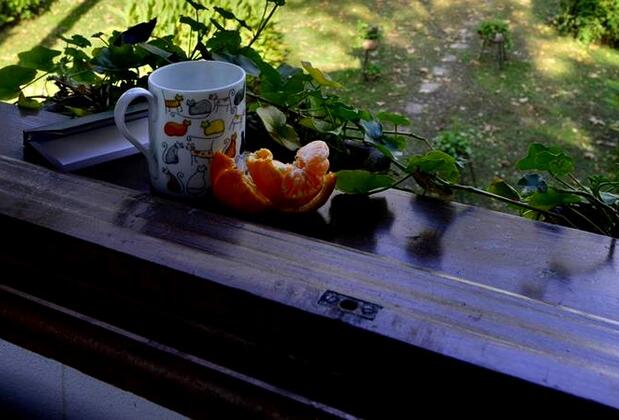 Villa Doğa - Görsel 8