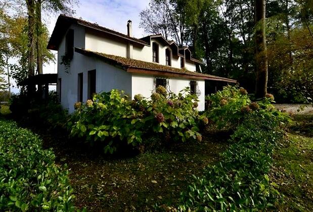 Villa Doğa - Görsel 3