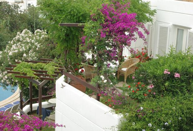 Antik Tiyatro Oteli - Görsel 5