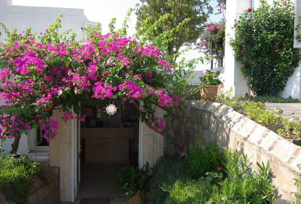 Antik Tiyatro Oteli - Görsel 29