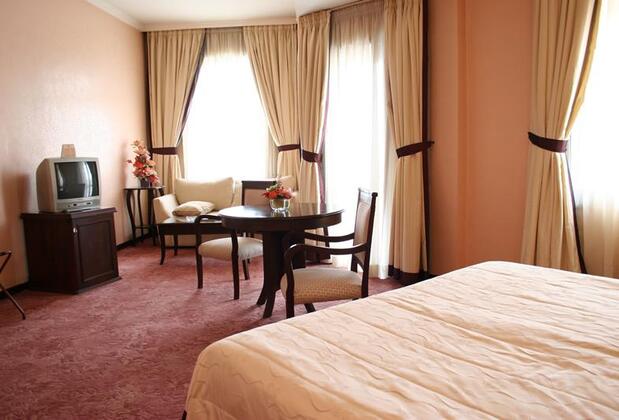 Ankara Esenboğa Airport Hotel - Görsel 4