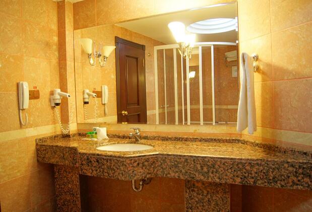 Ankara Esenboğa Airport Hotel - Görsel 42