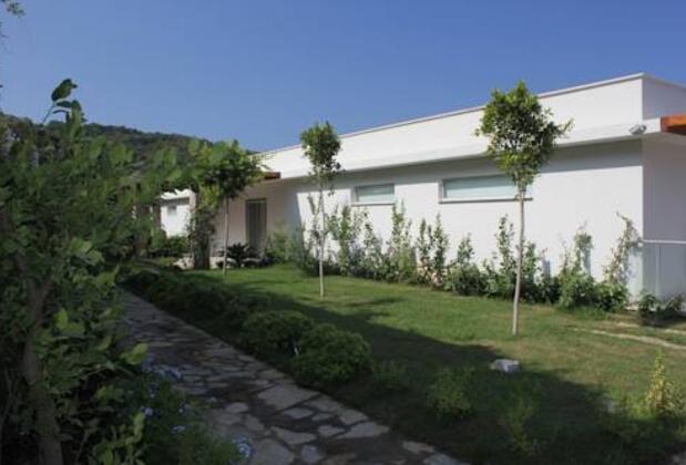 Faralya Davinci - Görsel 11