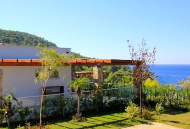 Faralya Davinci - Görsel 4