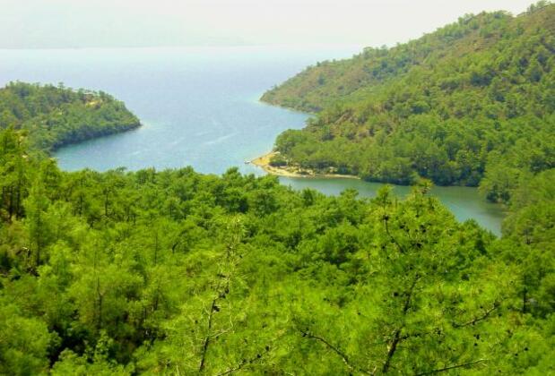 Club Amazon Bördübet - Görsel 4