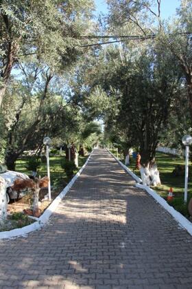 Maviş Butik Otel - Görsel 24