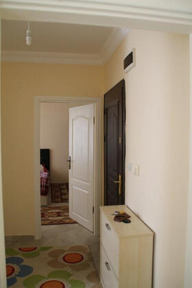 Shamrock Apart - Görsel 6