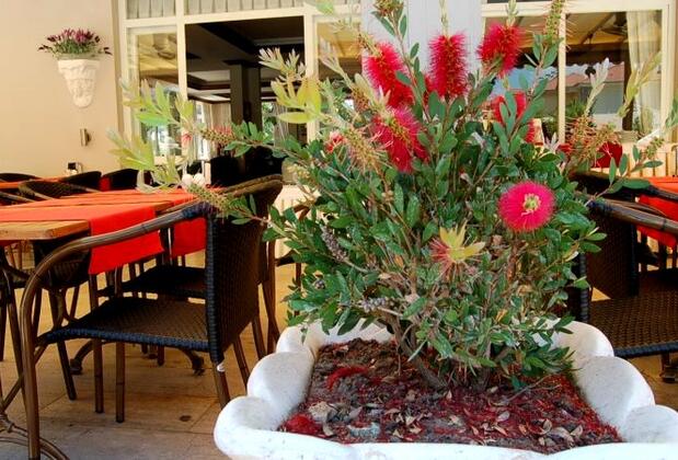 Aşram Anu Çınar Otel & Apart - Görsel 12