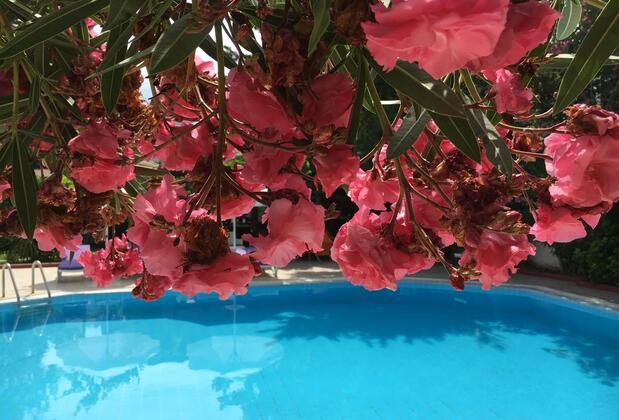 Safa Otel - Görsel 14