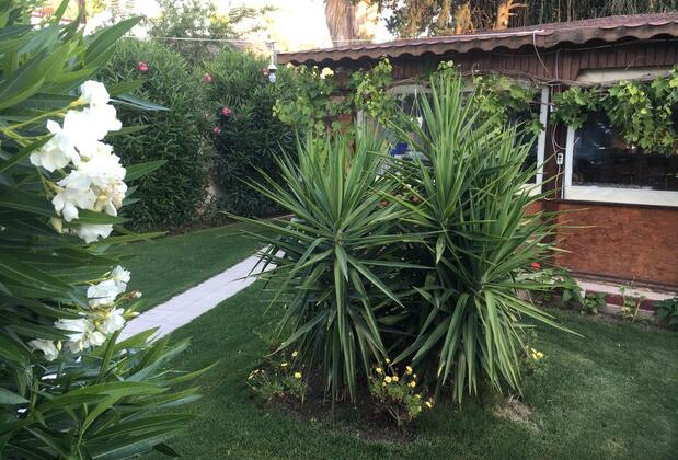 Safa Otel - Görsel 17