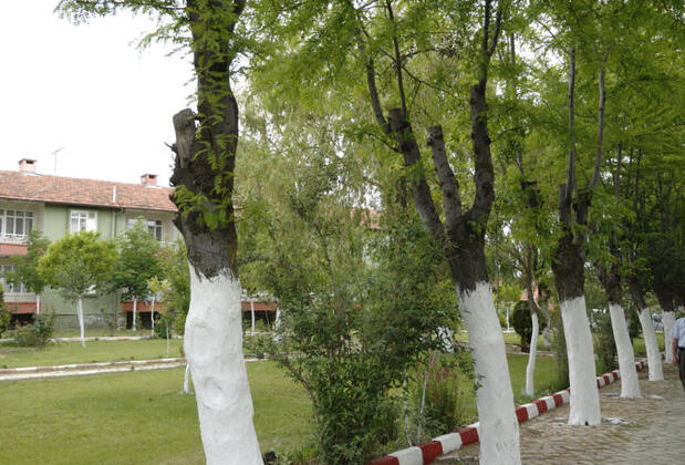 Yüntaş Gazlıgöl Kaplıca İşletmesi - Görsel 12