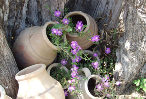 Oksijen Motel - Görsel 8