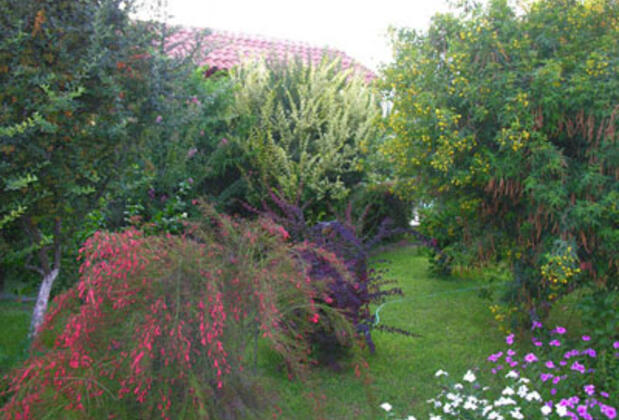 Hotel Myrina - Görsel 6