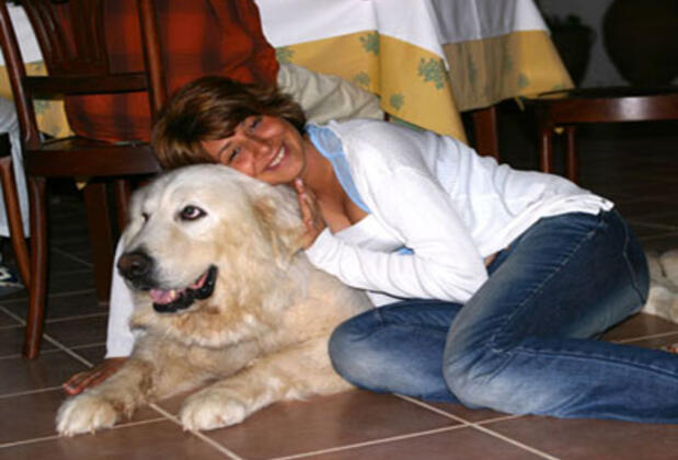 Adahan Otel - Görsel 3