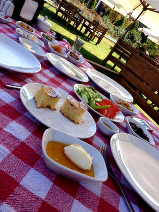 Yeşil Ev Kır Evi - Görsel 15