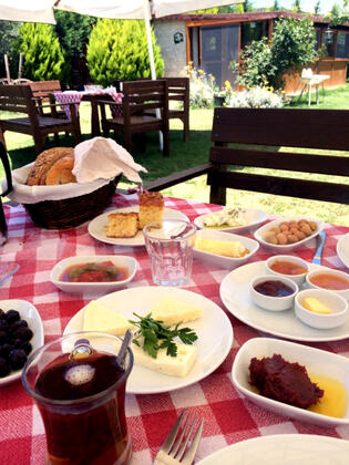 Yeşil Ev Kır Evi - Görsel 5