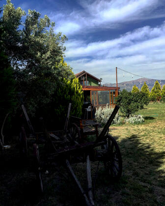 Yeşil Ev Kır Evi - Görsel 23