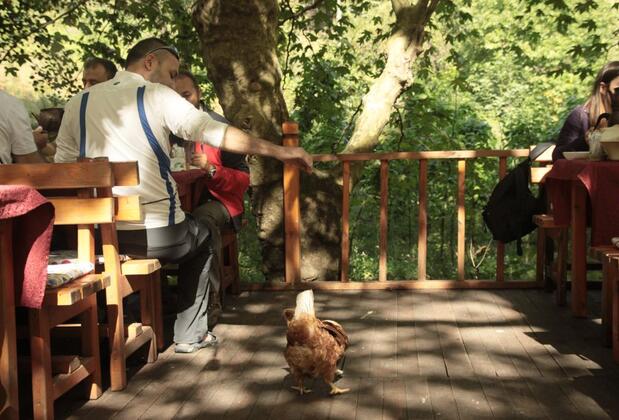 Karaaslan Alabalık Kamping Bungalow Tesisleri - Görsel 11