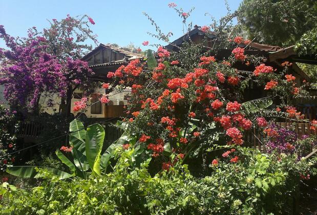 Mehtap Pansiyon - Görsel 15