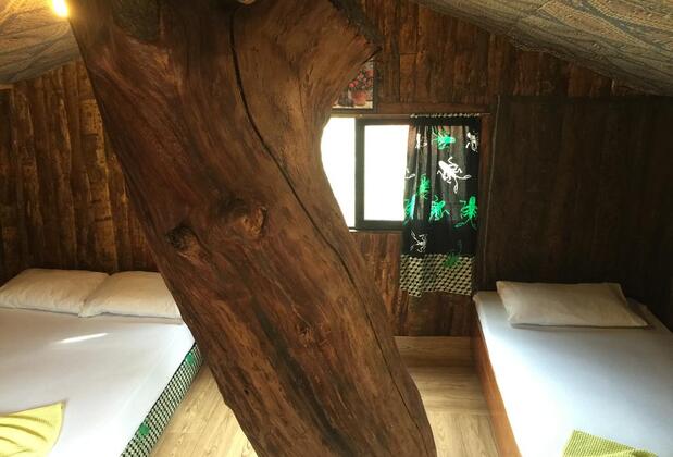 Olimpos İnci Pansiyon - Görsel 10