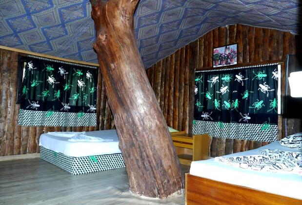 Olimpos İnci Pansiyon - Görsel 16