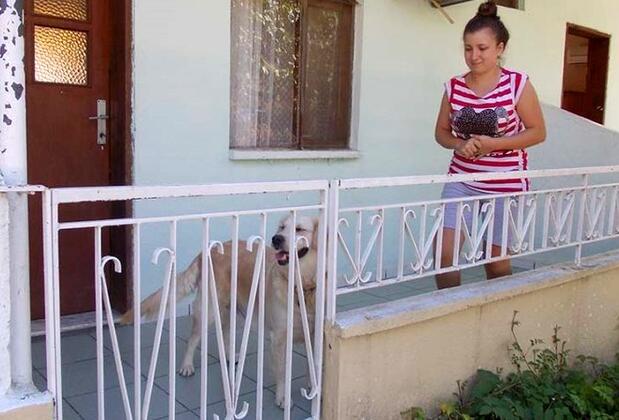 Olimpos Akan Pansiyon - Görsel 9