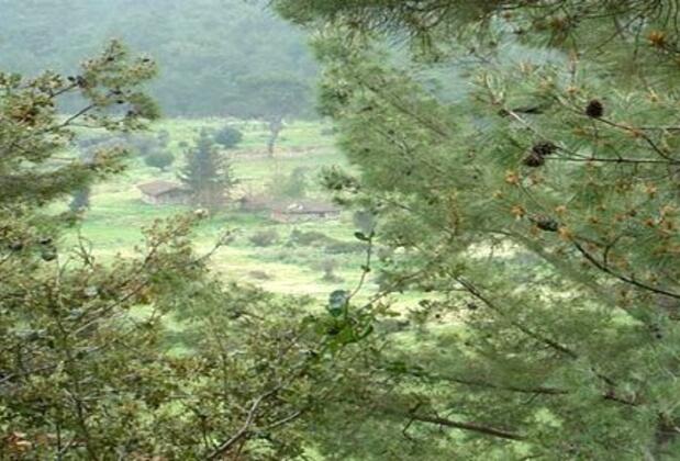 Olimpos Akan Pansiyon - Görsel 12