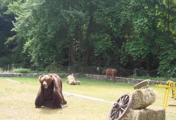 Başdeğirmen Konaklama Tesisi - Görsel 20