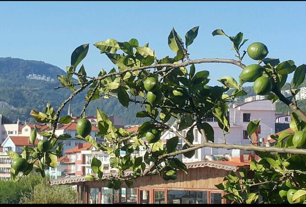 Marina Otel Bartın - Görsel 20