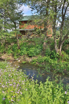 NeSS Abant Butik Otel ve Restoran - Görsel 2