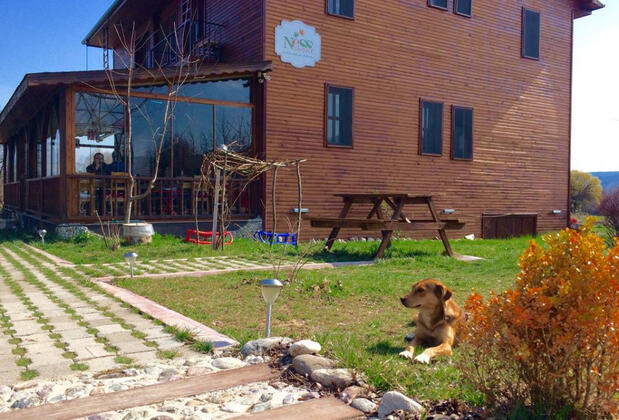 NeSS Abant Butik Otel ve Restoran - Görsel 26