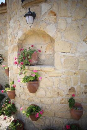 Pelazzi Çiftliği - Görsel 13