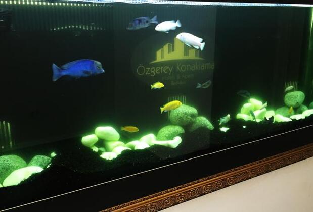 Özgerey Konaklama Büyükçekmece - Görsel 18