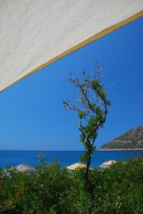 Hoppala Pansiyon Restaurant - Görsel 15