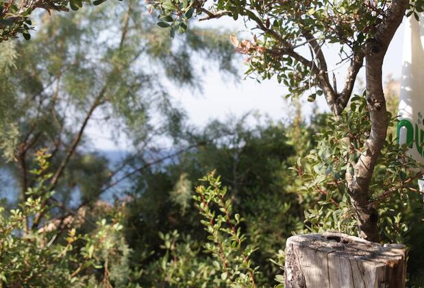 Hoppala Pansiyon Restaurant - Görsel 3