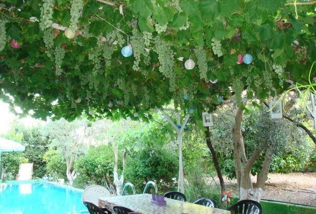 Antalya Farm House - Görsel 20