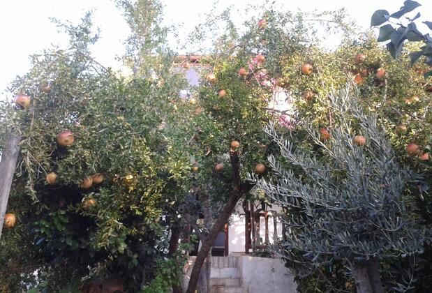 Cennet Pansiyon Kekova - Görsel 18