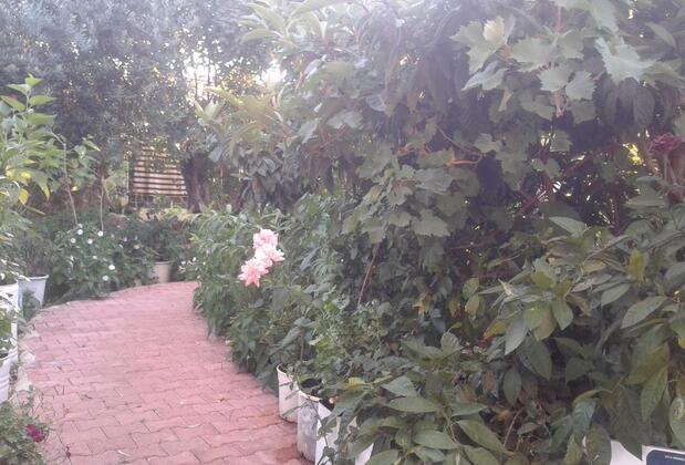 Cennet Pansiyon Kekova - Görsel 5