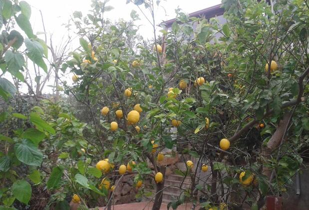 Cennet Pansiyon Kekova - Görsel 28