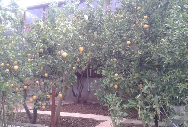 Cennet Pansiyon Kekova - Görsel 23