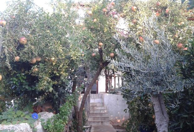 Cennet Pansiyon Kekova - Görsel 8