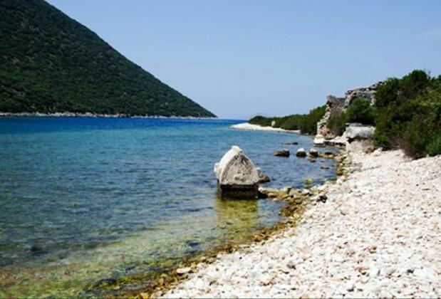 The Purple House - Görsel 17